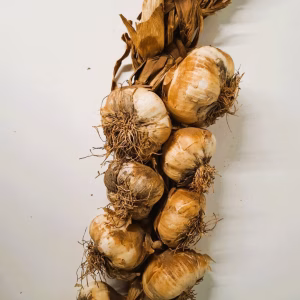 Streng  Franse Knoflook gerookt oogst 2026.