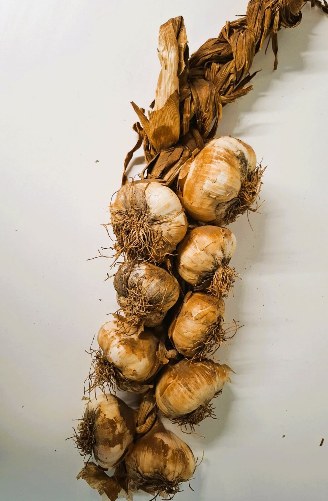 Streng 1 kilo Franse Knoflook gerookt nieuwe oogst