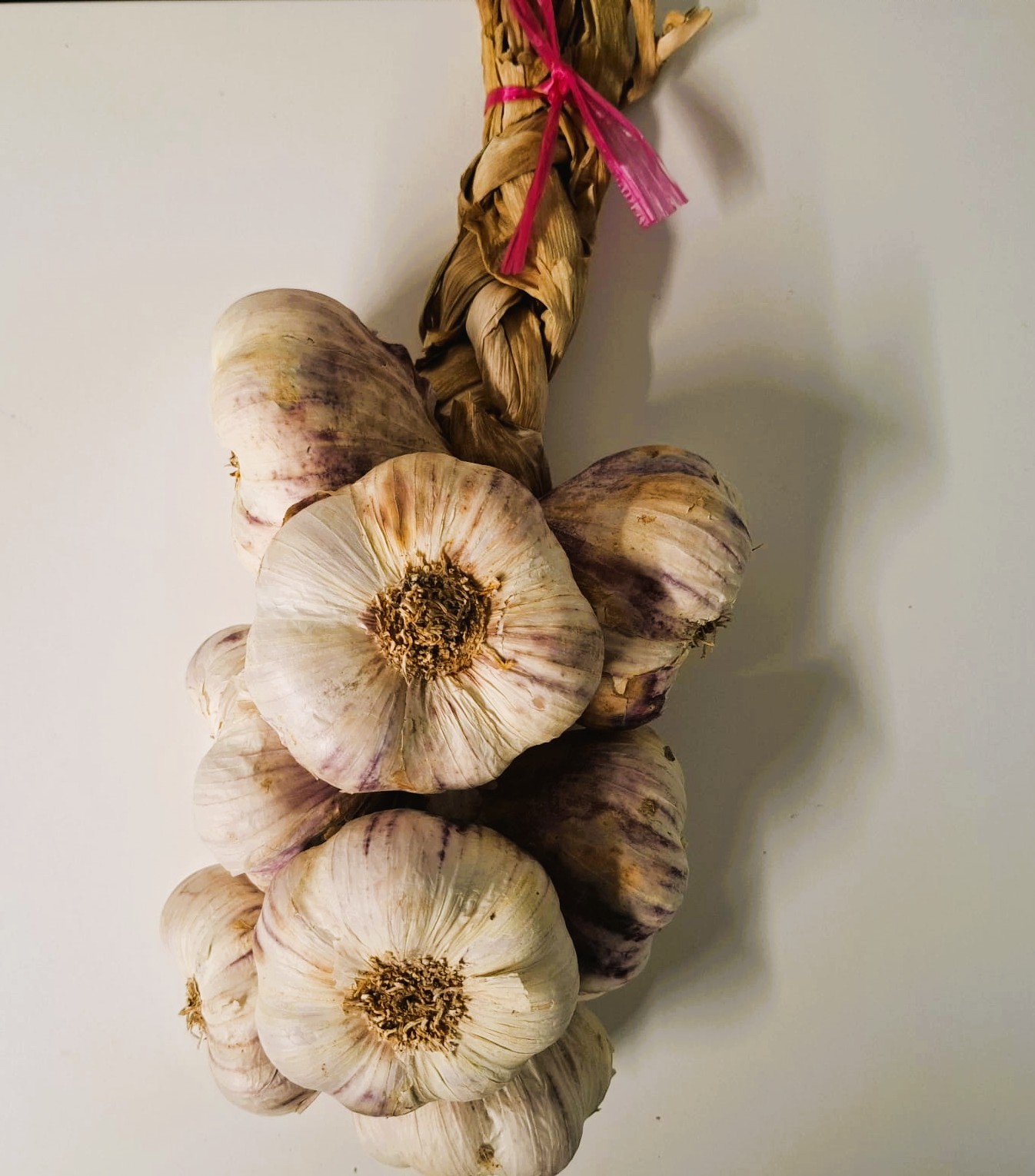 streng 1 kilo Franse Violet Knoflook nieuwe oogst