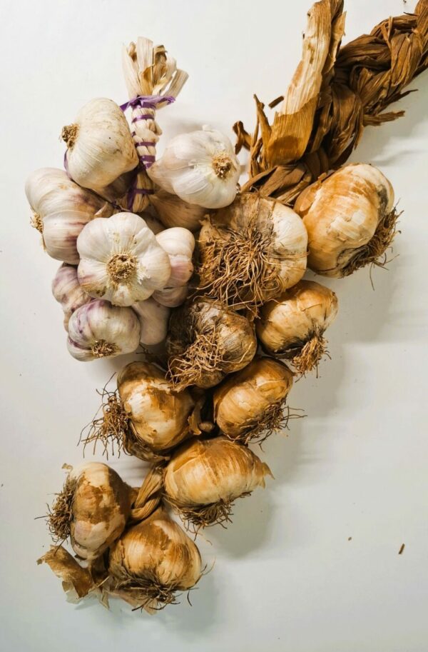 streng 500 gram violet knoflook en 1 streng gerookte knoflook 700 gram.